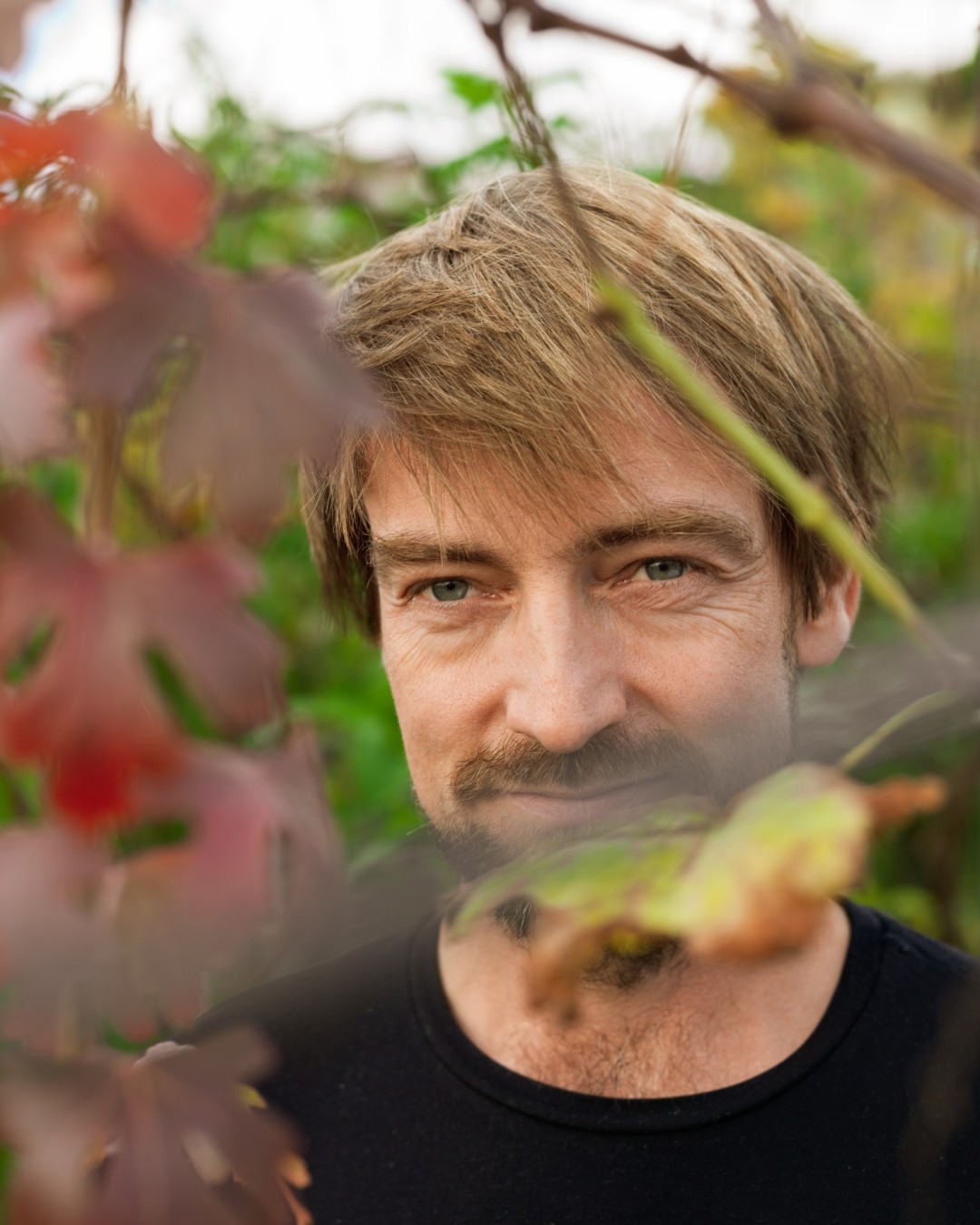 Domaine Les Dryades